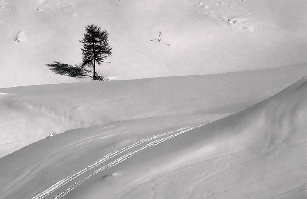 che pace! che pace!