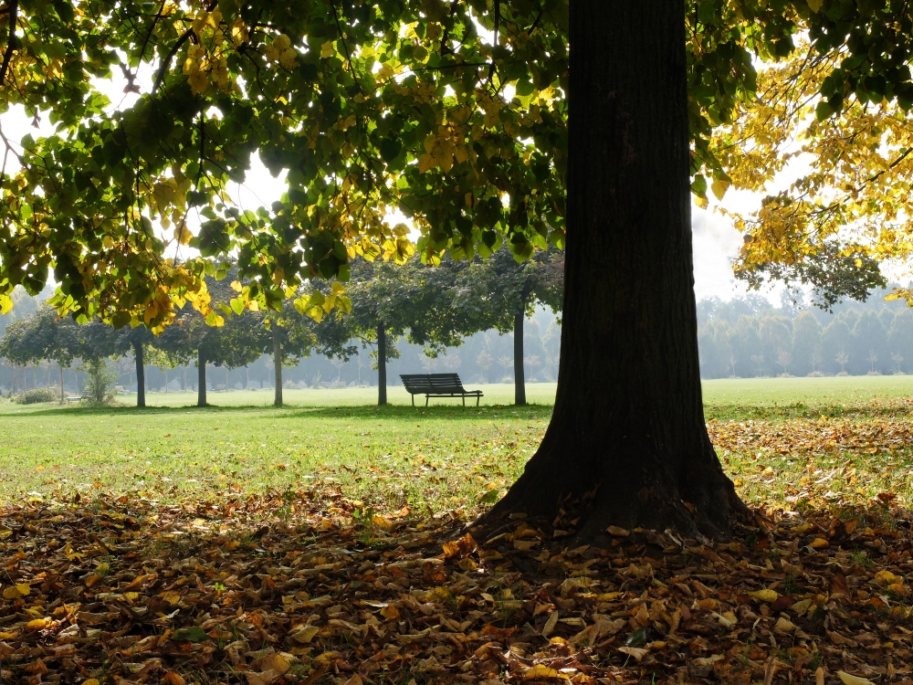 romantico autunno..