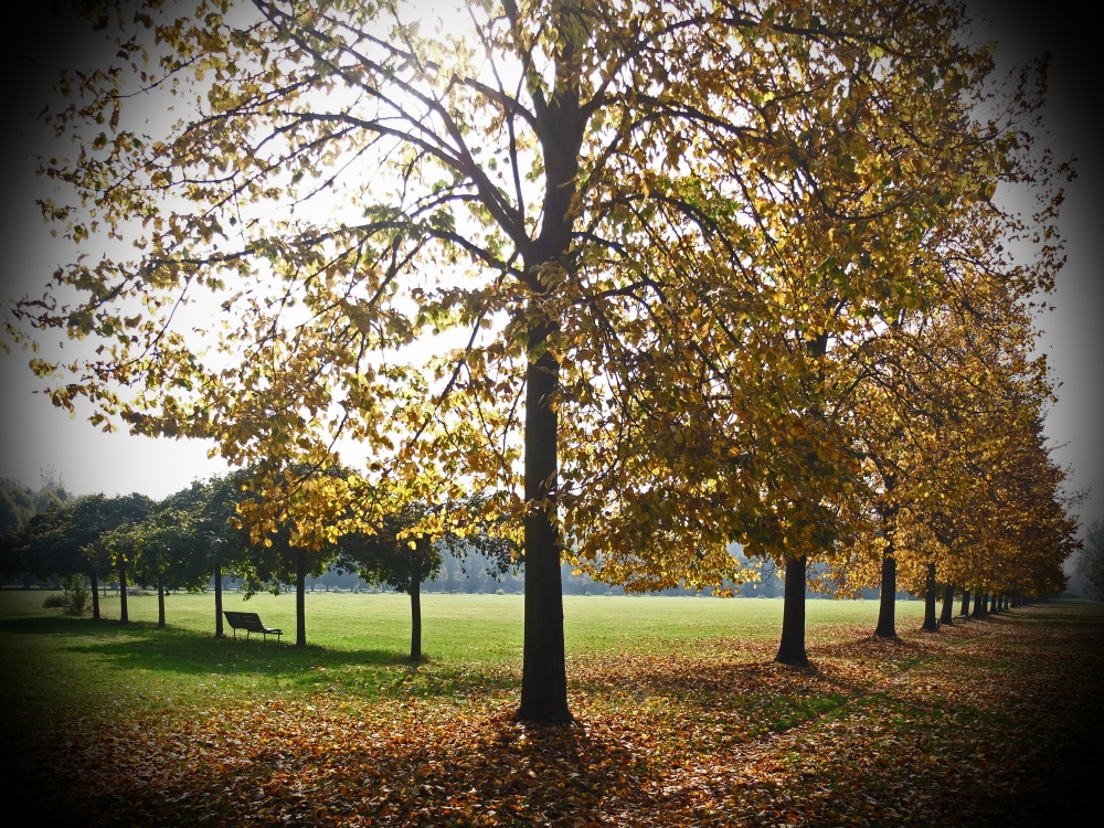 dentro l'autunno..