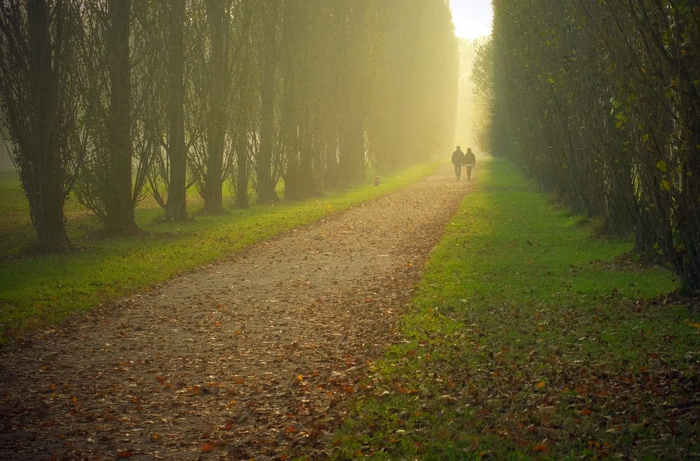 ecco l'autunno..