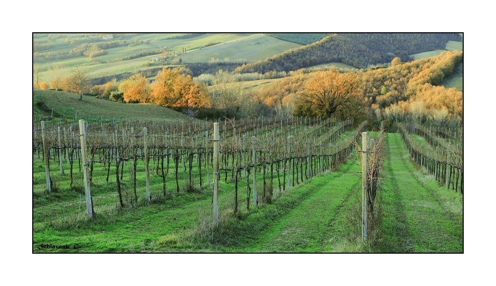 ...era autunno... ...era autunno...