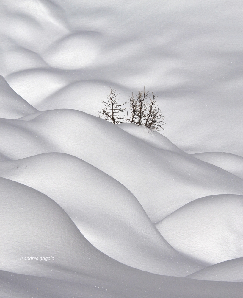 Forme nella neve Forme nella neve