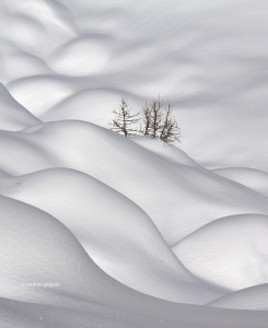 Forme nella neve 