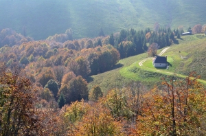 Colori d'autunno