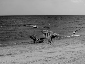 flickr