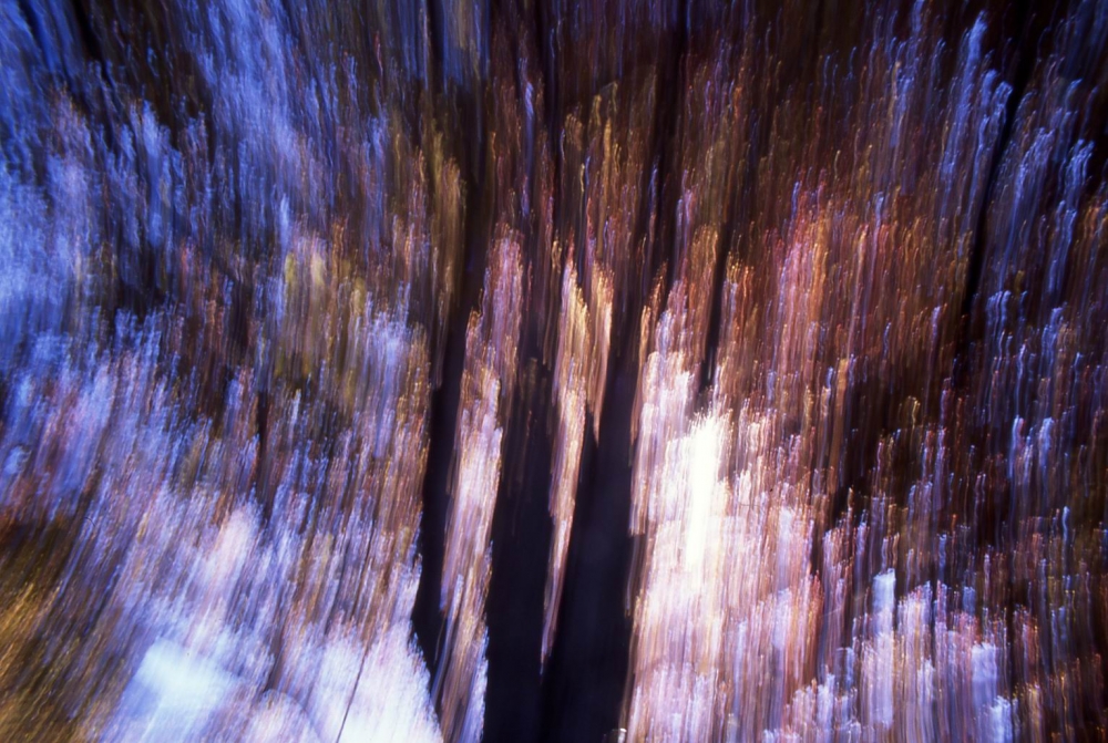 Movimento di colori Movimento di colori