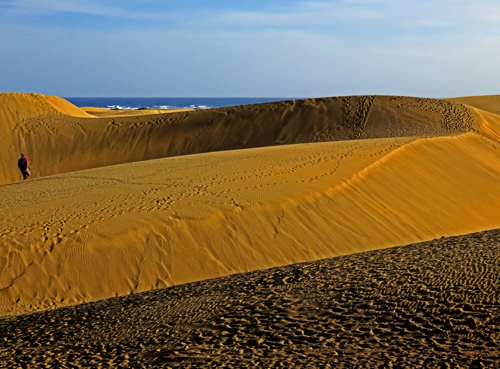 simil sahara simil sahara