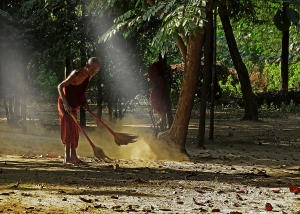 Operatore ecologico