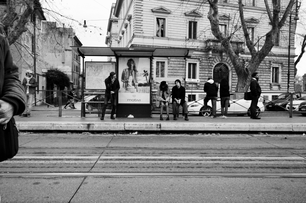 STORIE STORIE