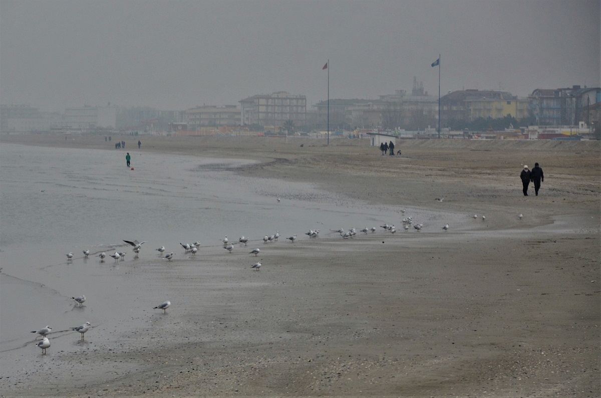 Il mare d'inverno