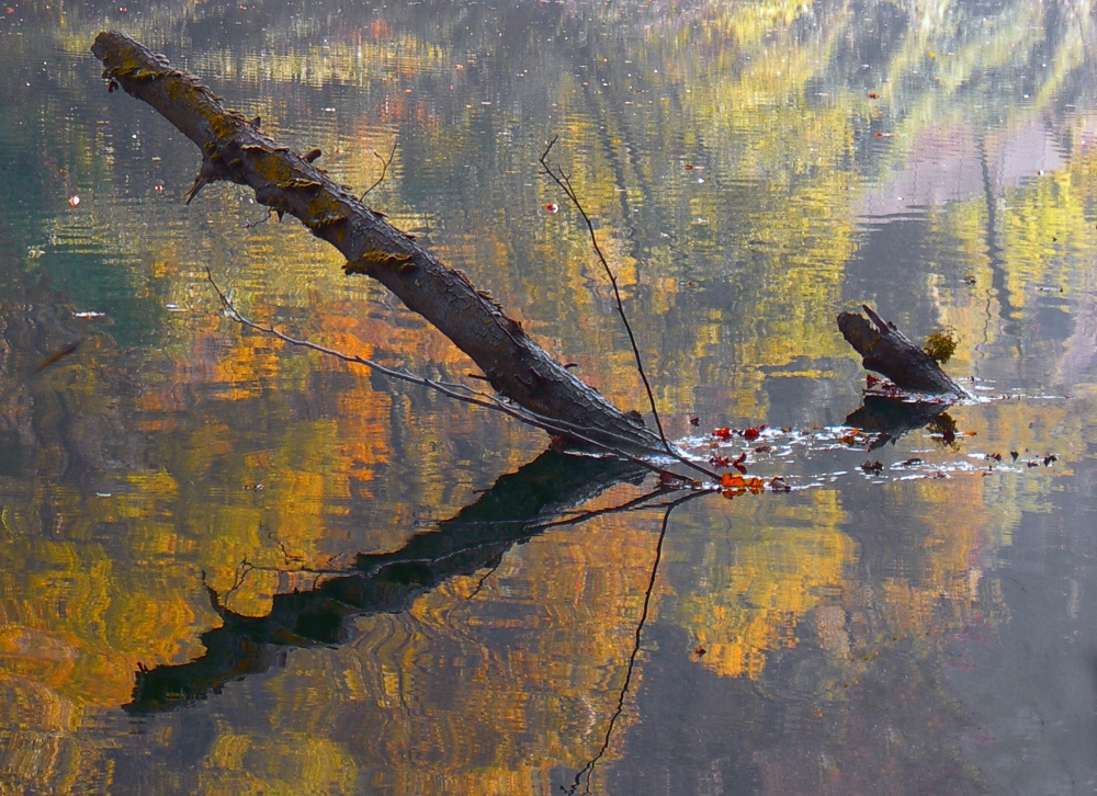 lungo il fiume... lungo il fiume...