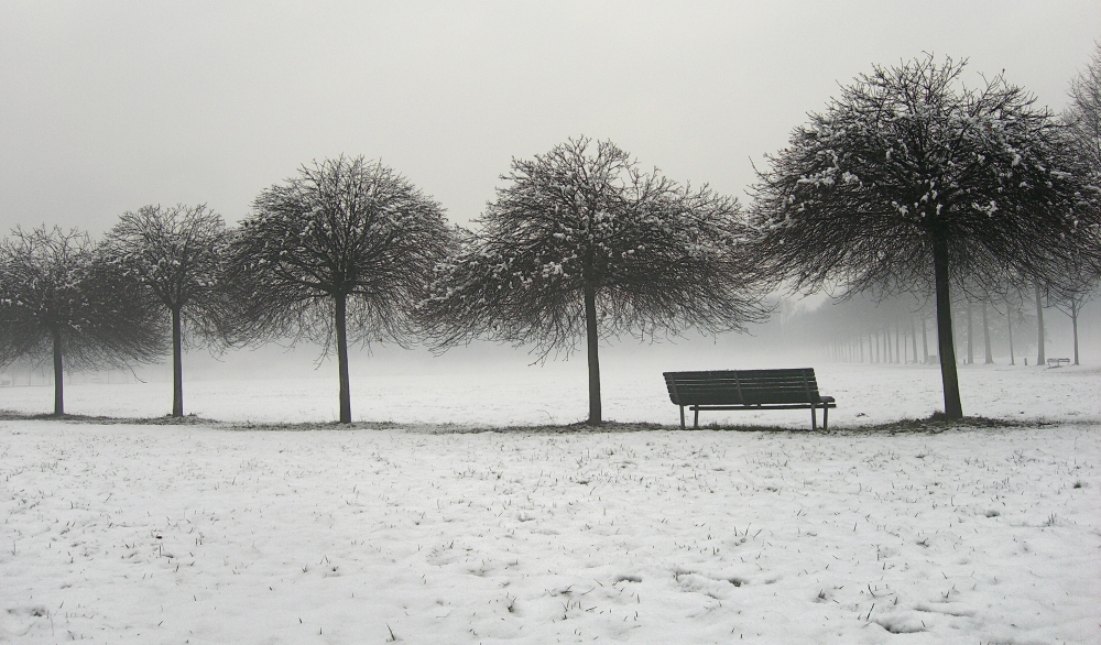 la panchina.. e la neve la panchina.. e la neve