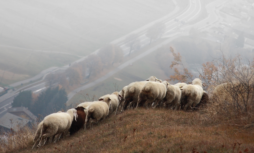 verso valle.. verso valle..