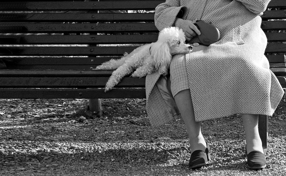 relax.. relax..