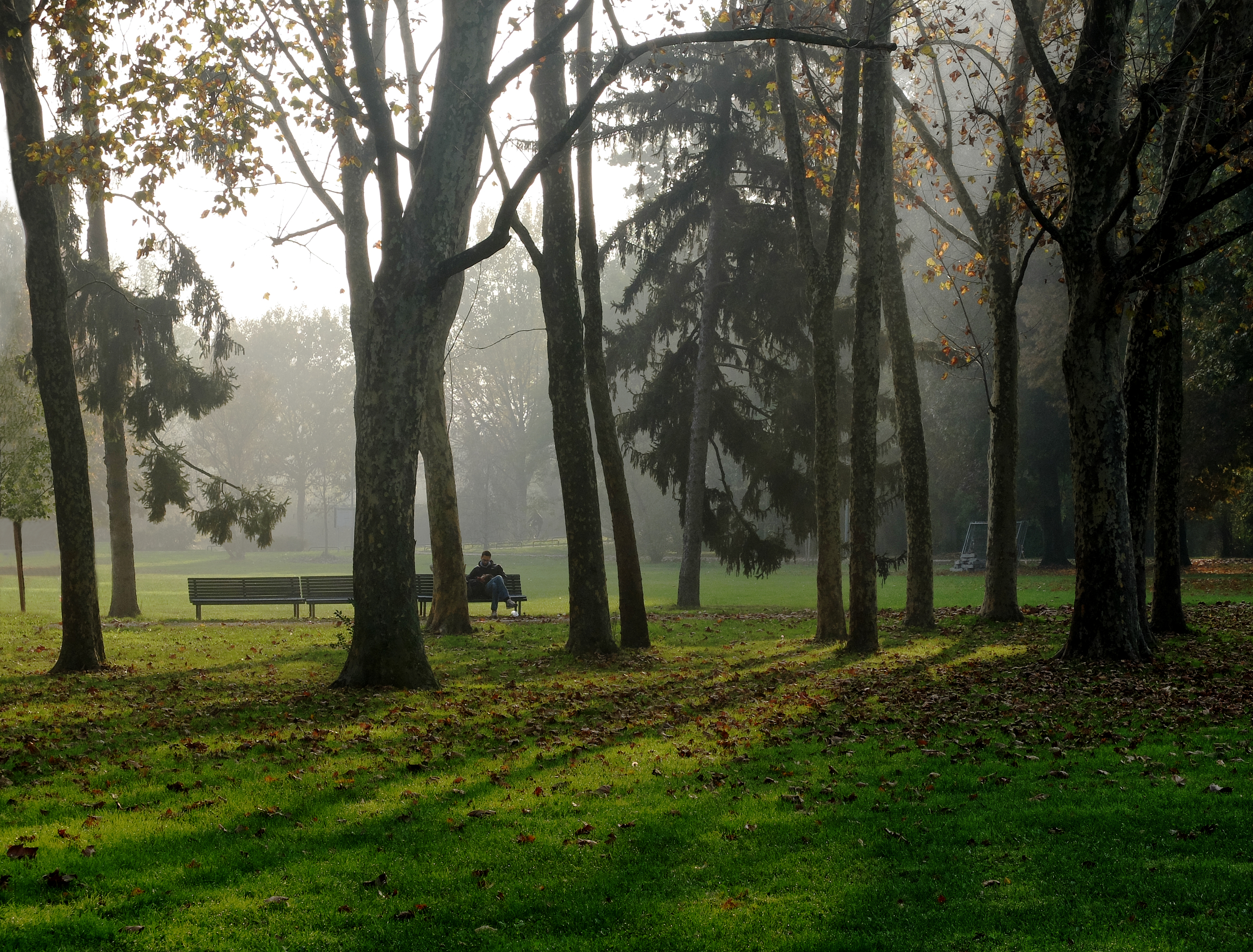 dentro l'autunno