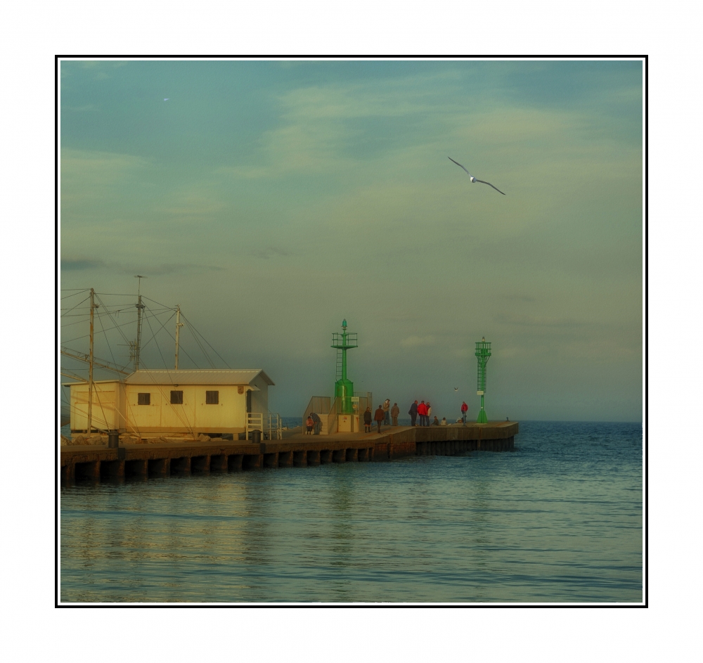 Cesenatico  porto canale II⛵⛵⛵