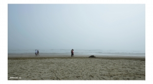 flickr