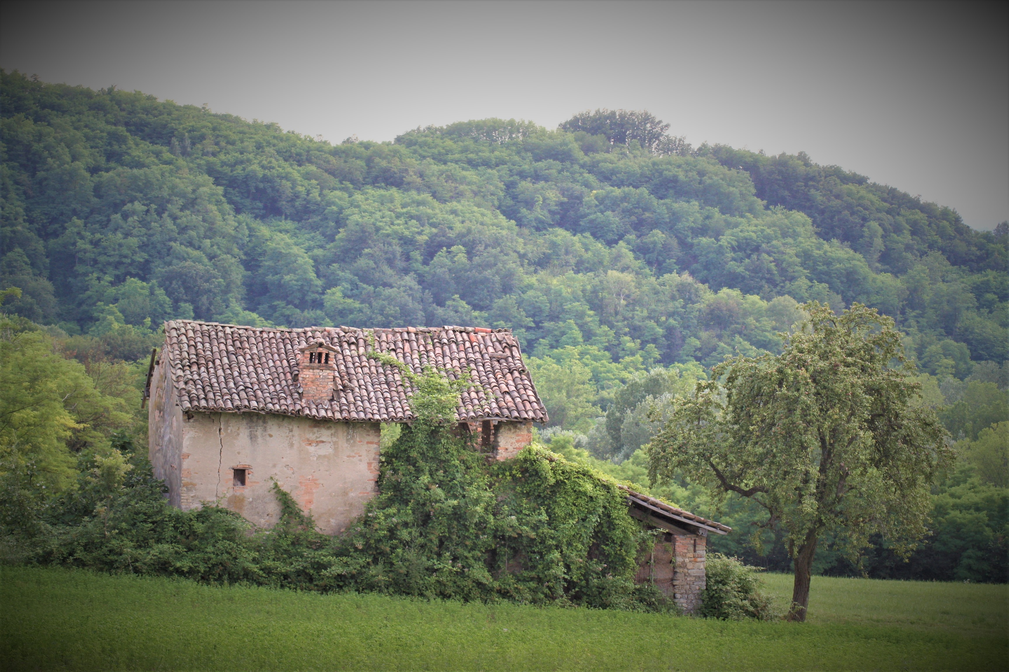 vecchio cascinale nel verde