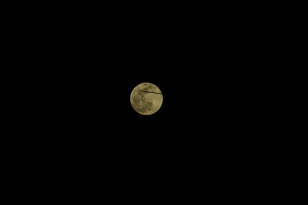 moon moon