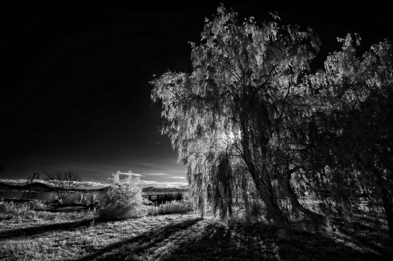 Il fantasma del Lago