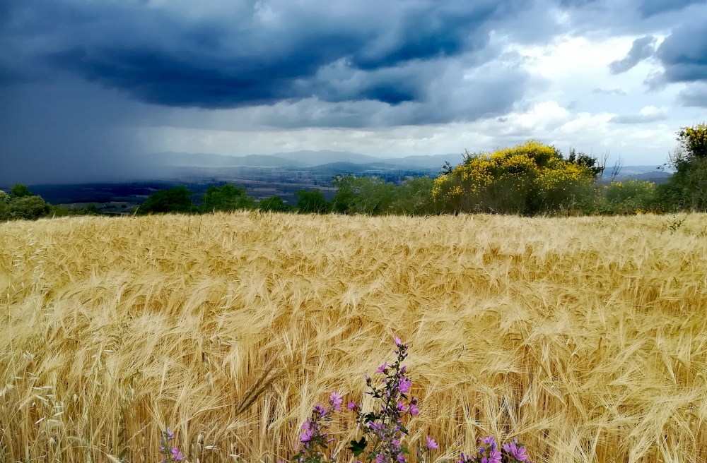 prima del temporale