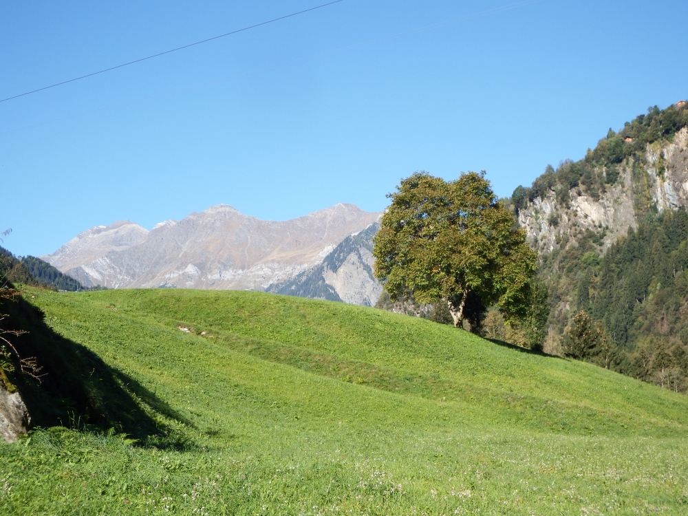 Colline Colline