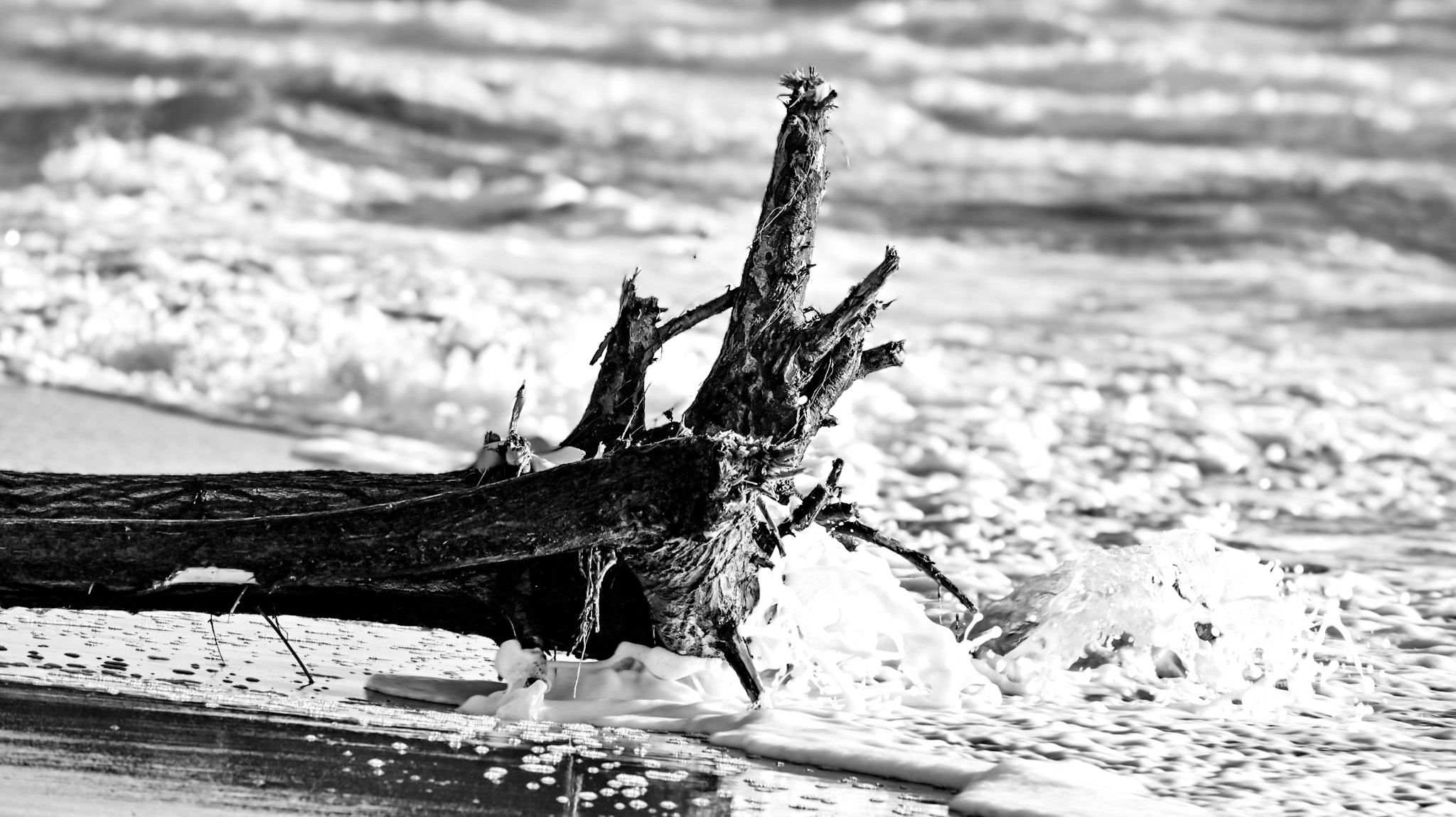 Il mare d'inverno Il mare d'inverno