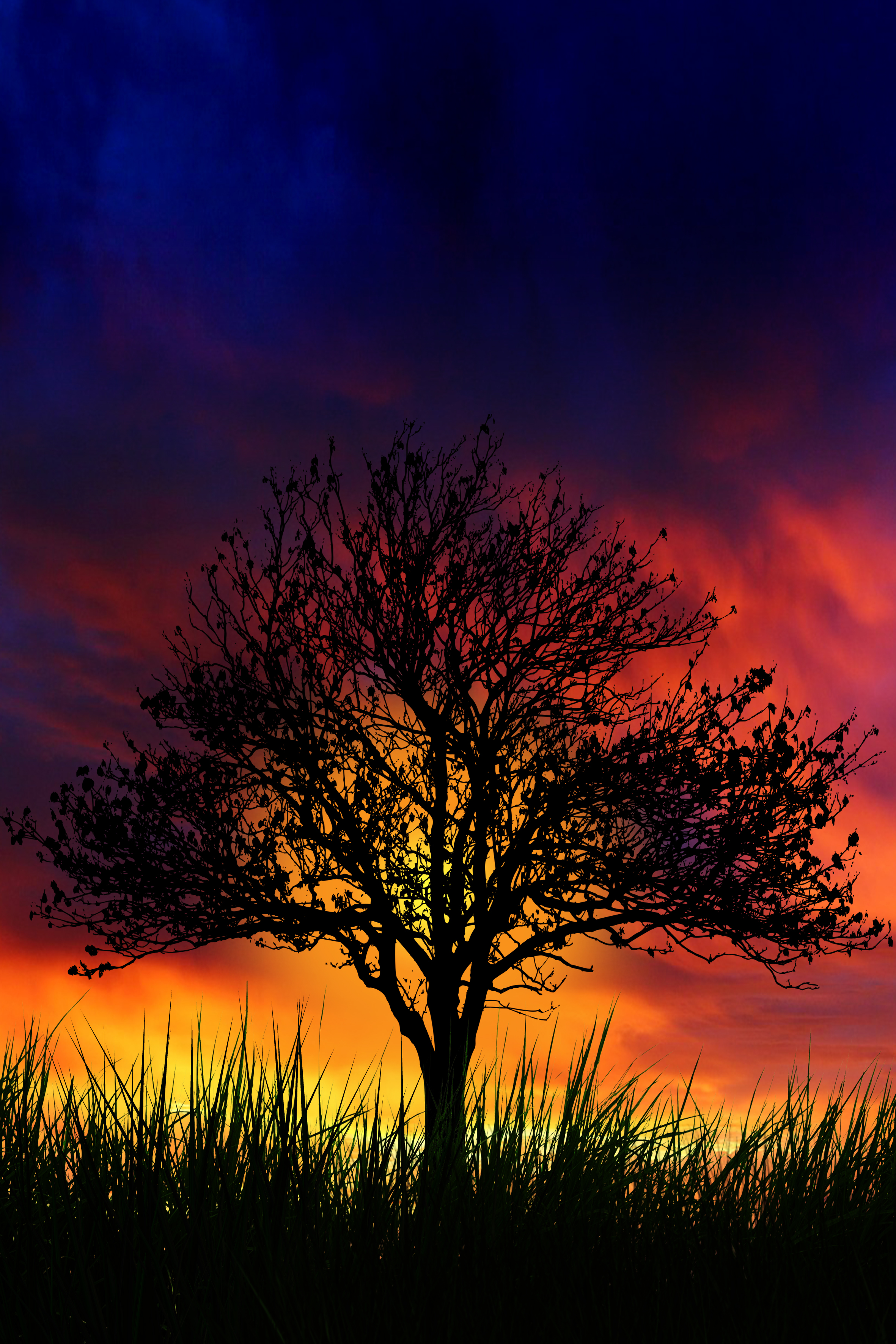 Sunset Sunset