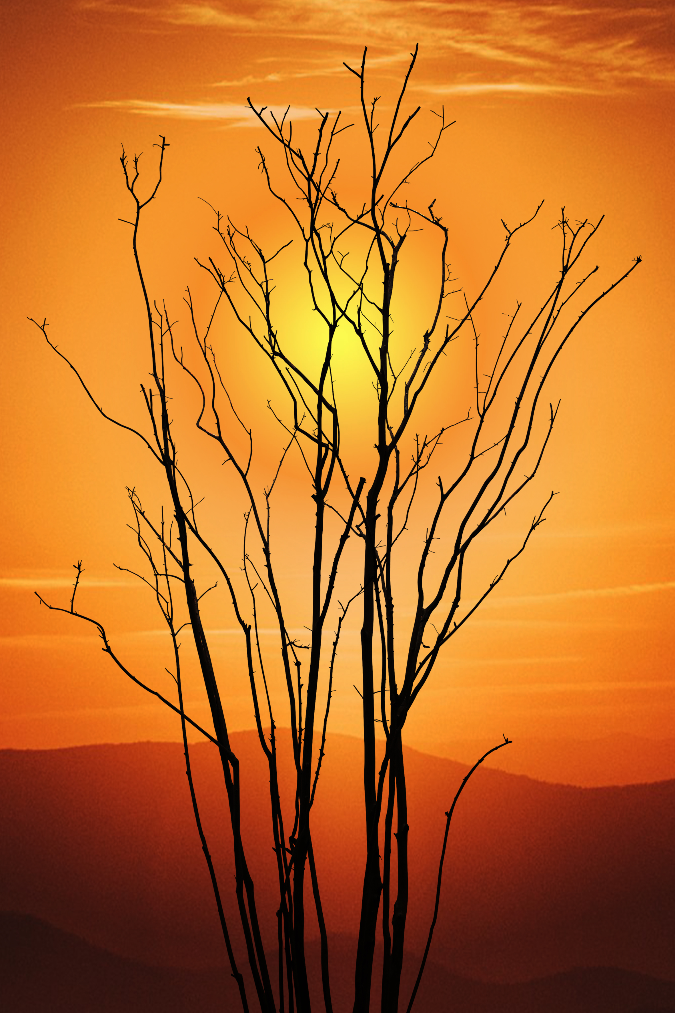 Sunset Sunset