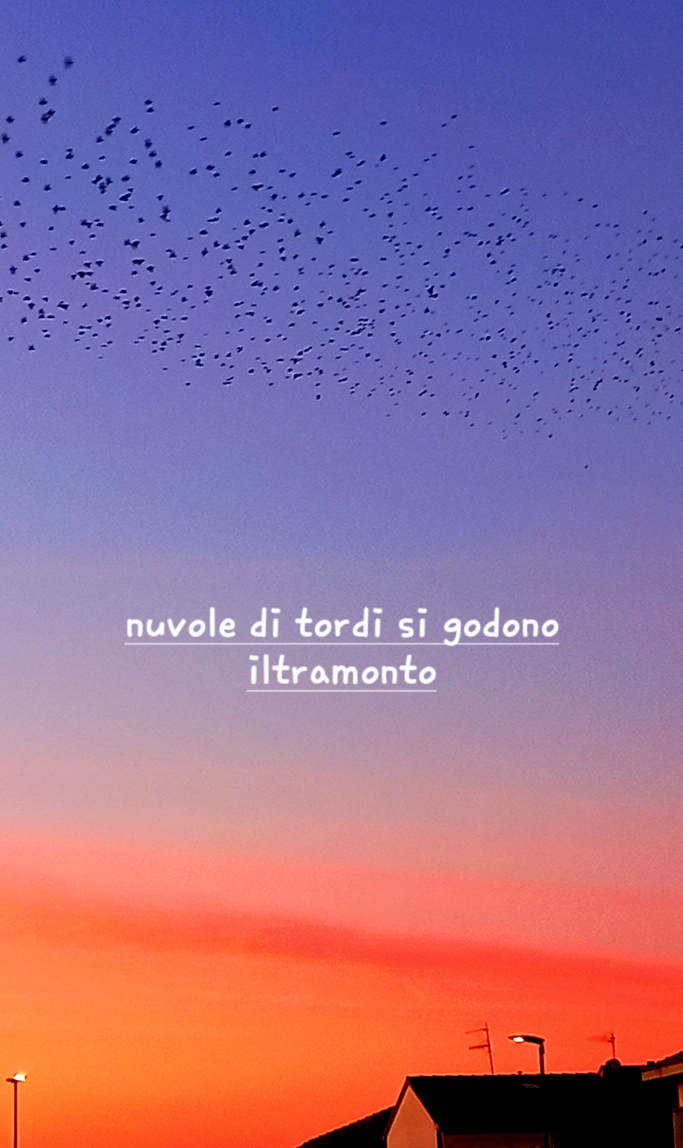 Al tramonto Al tramonto