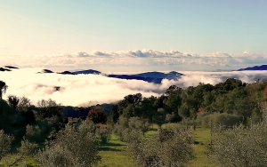 La mattina, al mio risveglio