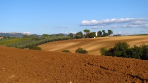 La mia terra, Maremma Toscana