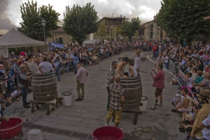 Festa dell'Uva-gara pigiatura