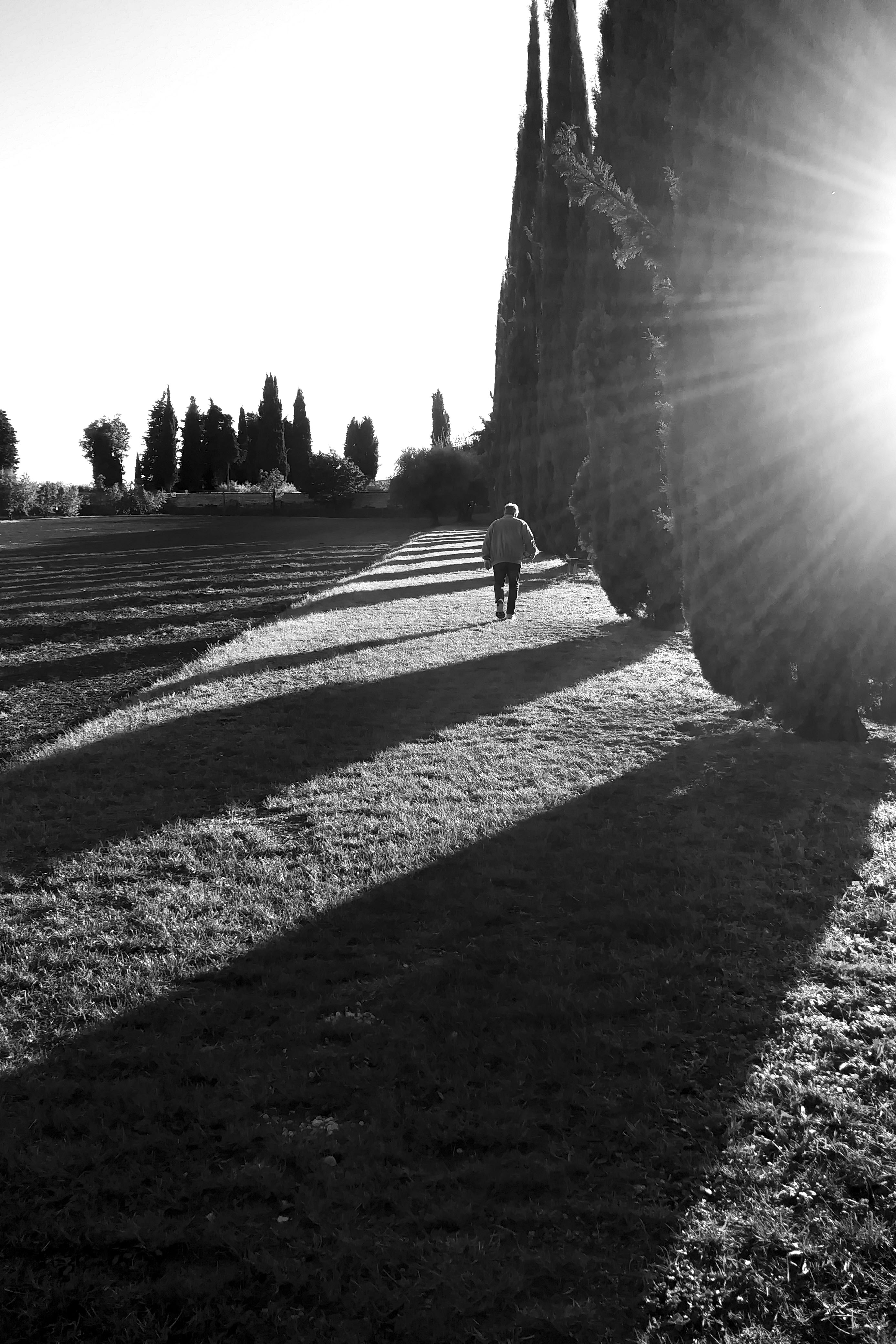 Luci e ombre Luci e ombre