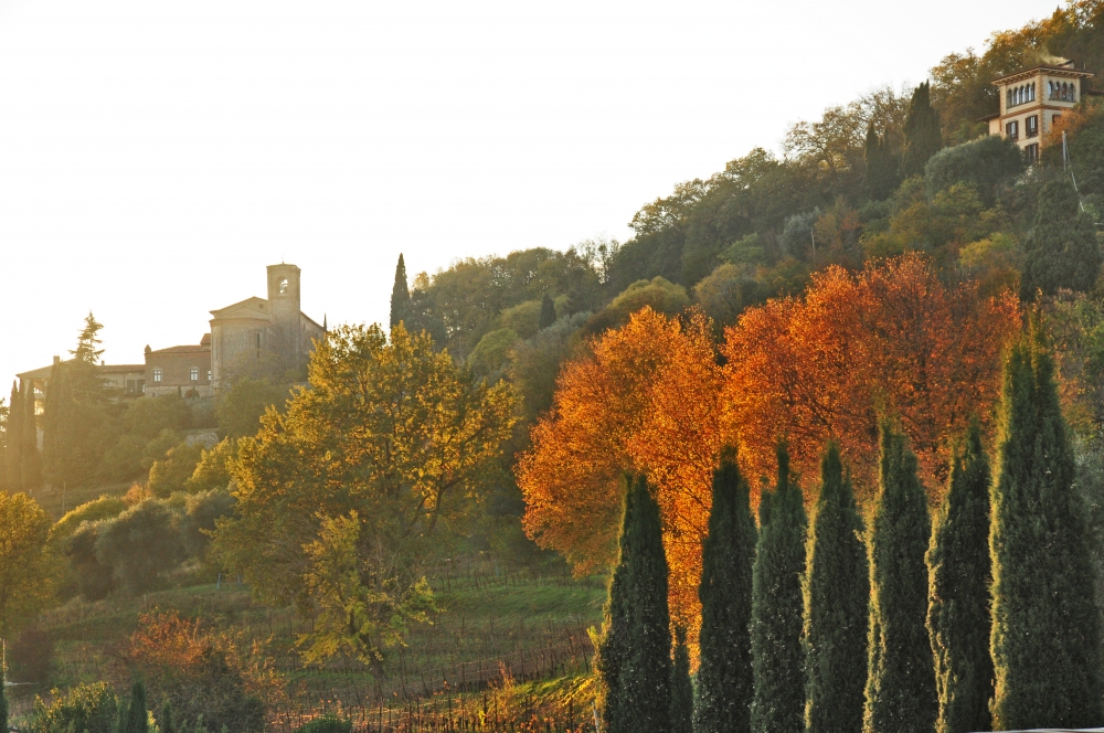 Autunno in Franciacorta Autunno in Franciacorta