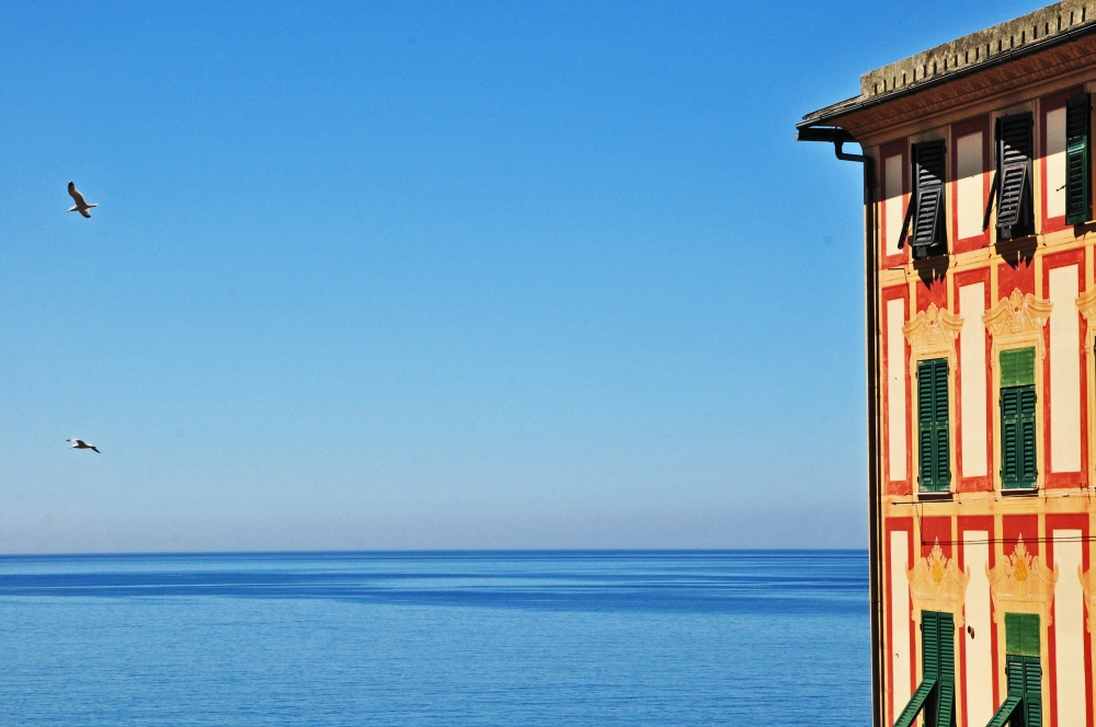 Camogli con gabbiani