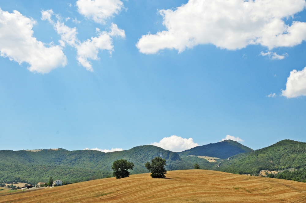 Colline marchigiane Colline marchigiane