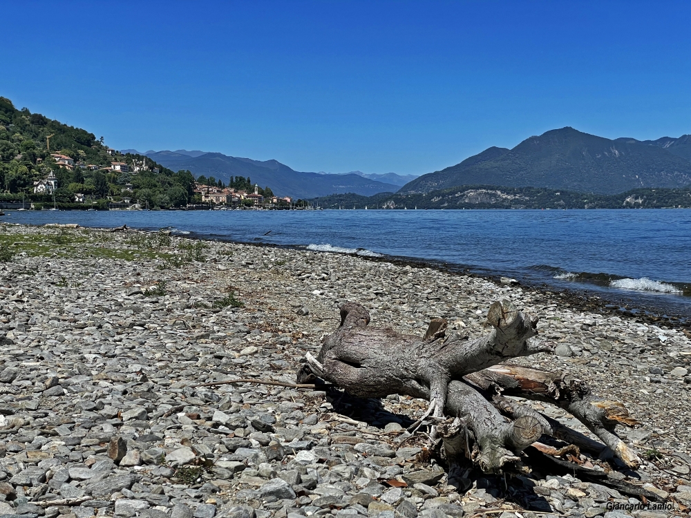 Siccità Siccità