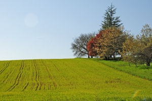 Arie di Primavera