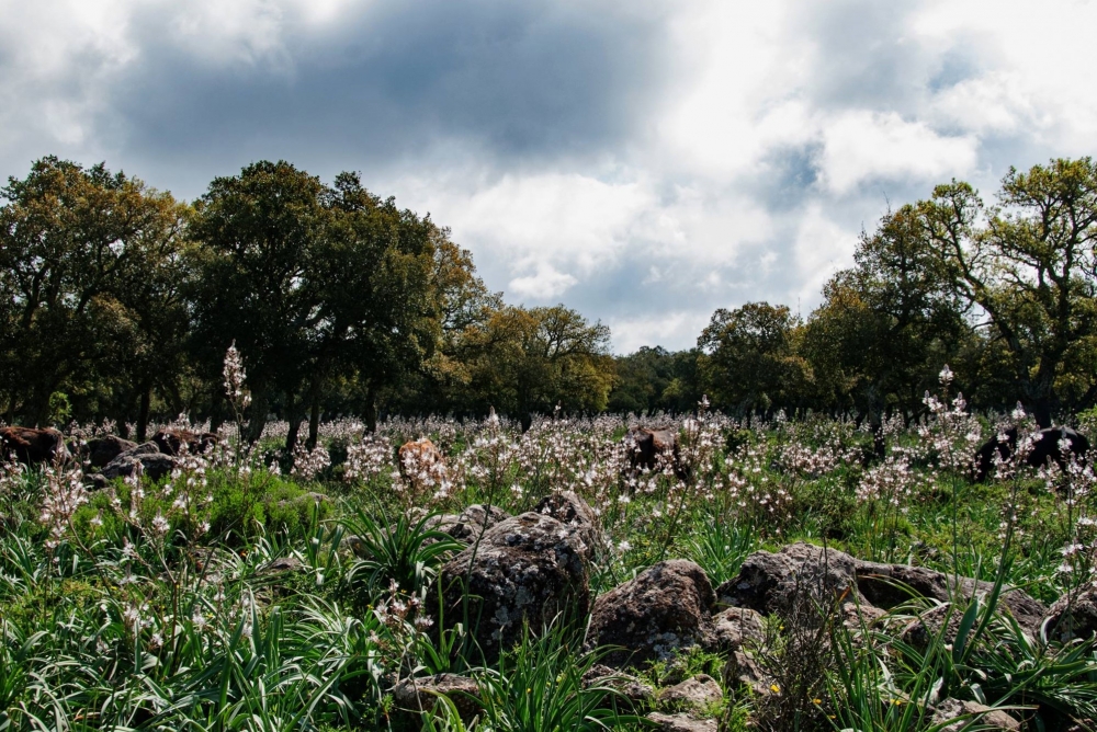 scorci…di natura