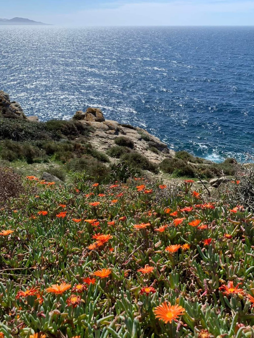 ben venuta primavera