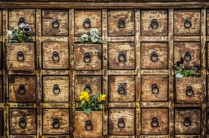 cassetti & fiori - Mercante in fiera - Fiere di Parma