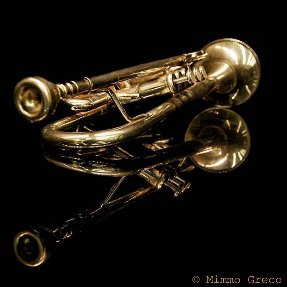 Squillino le trombe o trombino le squillo ? Squillino le trombe o trombino le squillo ?