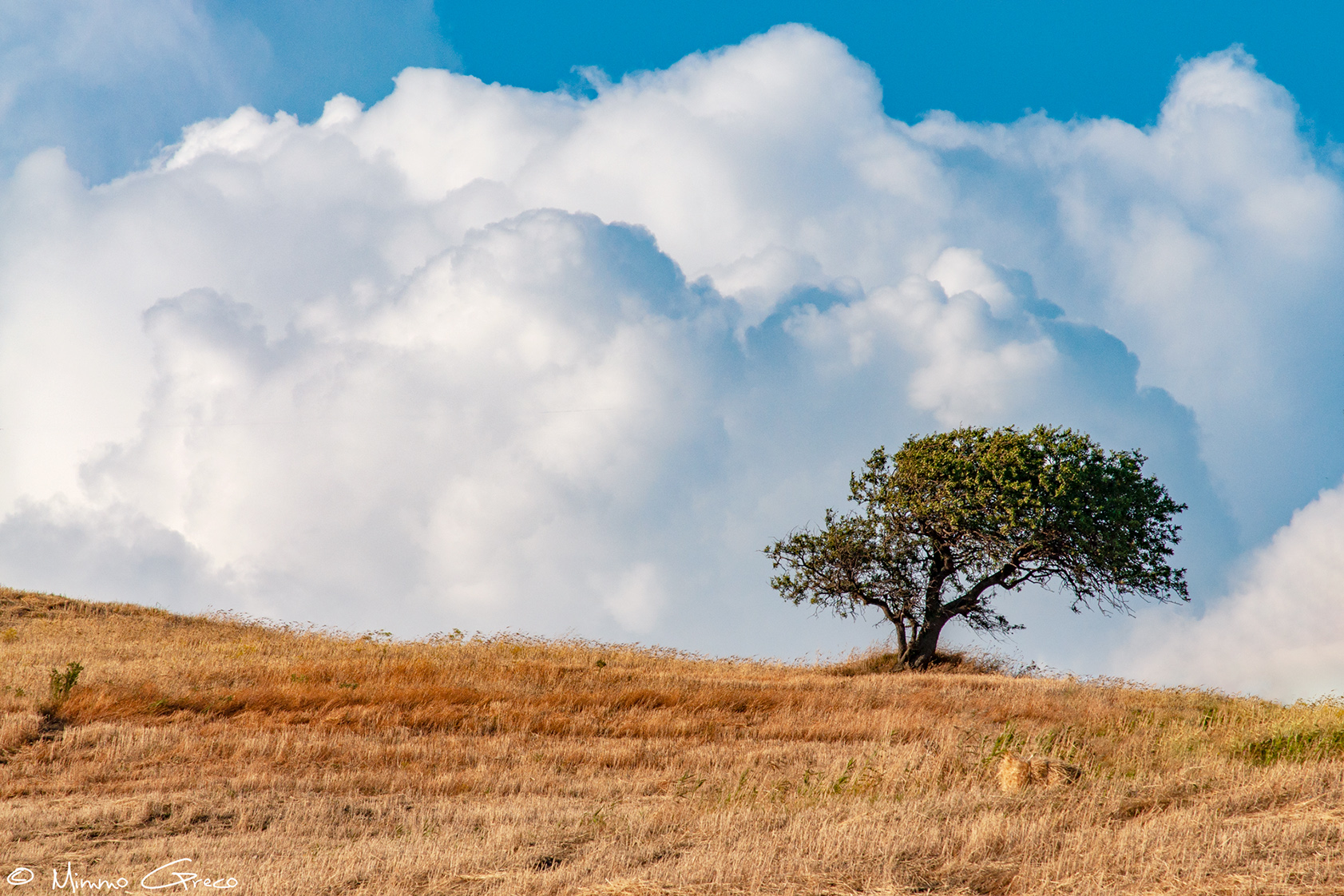 Tra cielo e terra