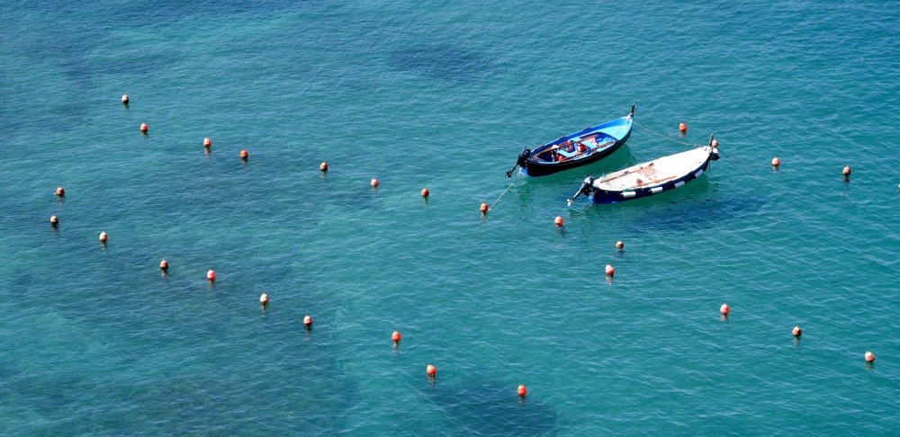 vernazza 2022 vernazza 2022