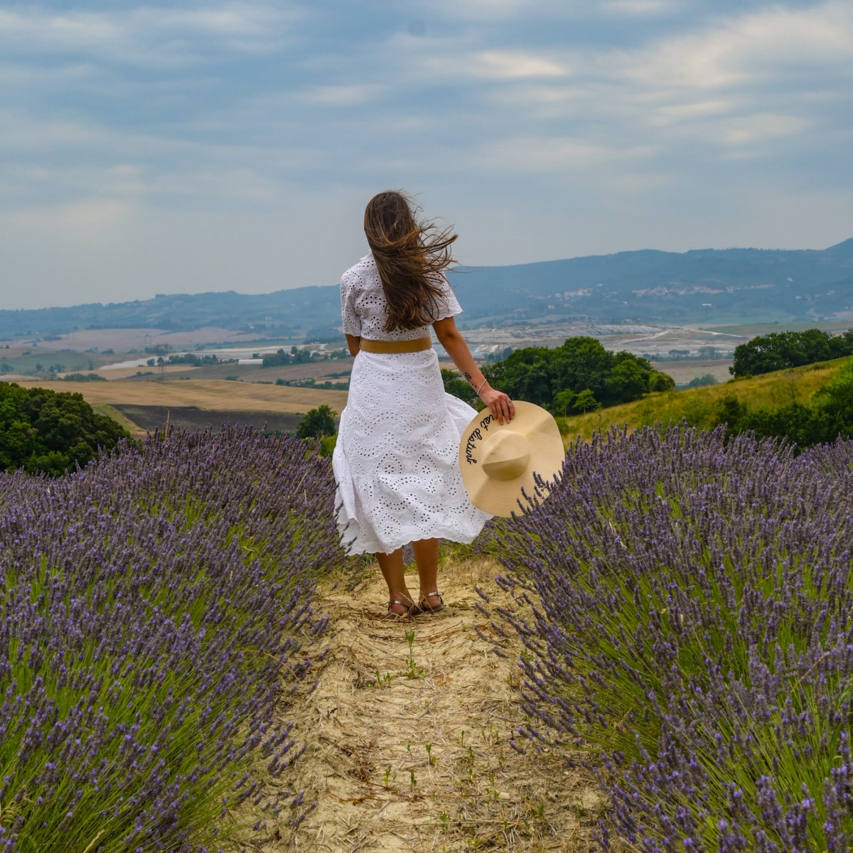 Lavanda, Orciano Pisano Lavanda, Orciano Pisano