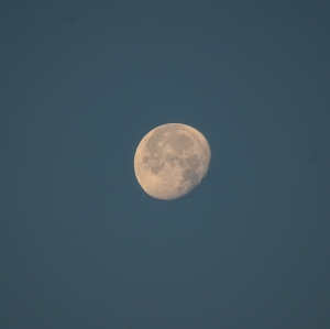 flickr