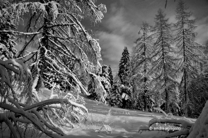 Il vero inverno 