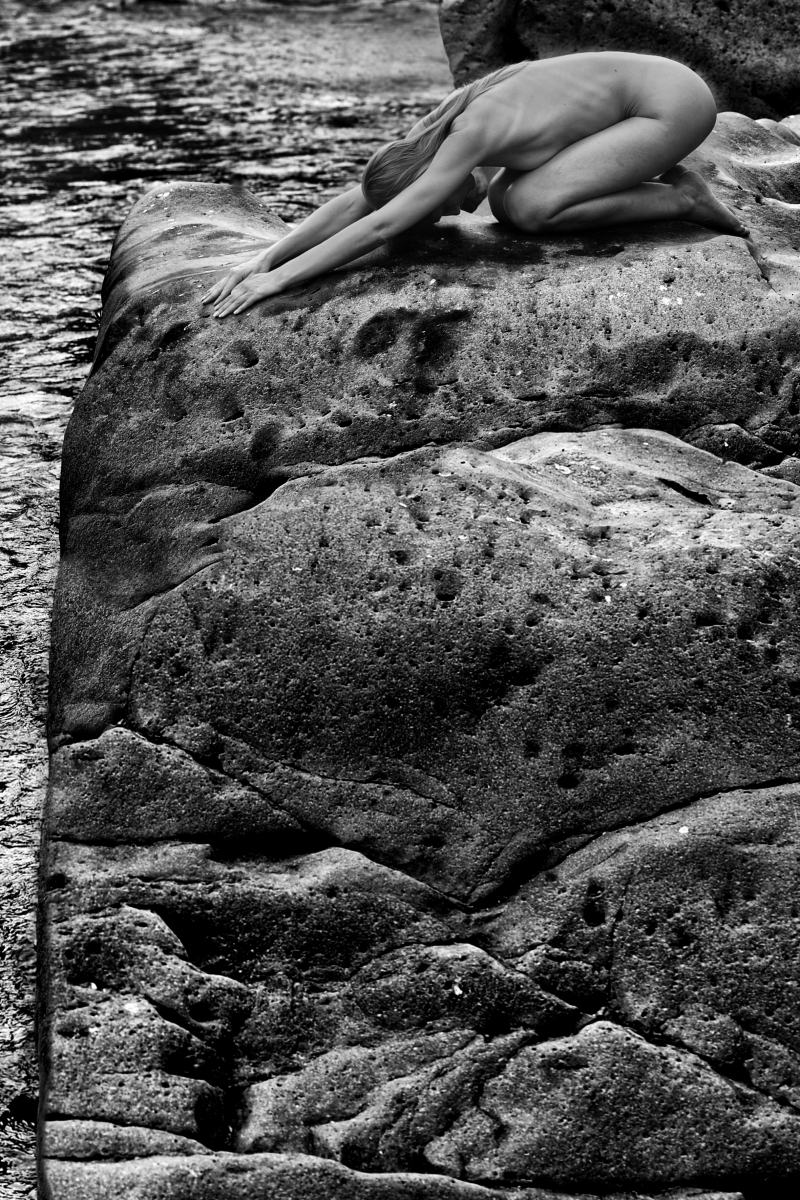 The rock The rock