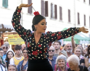 Flamenco!